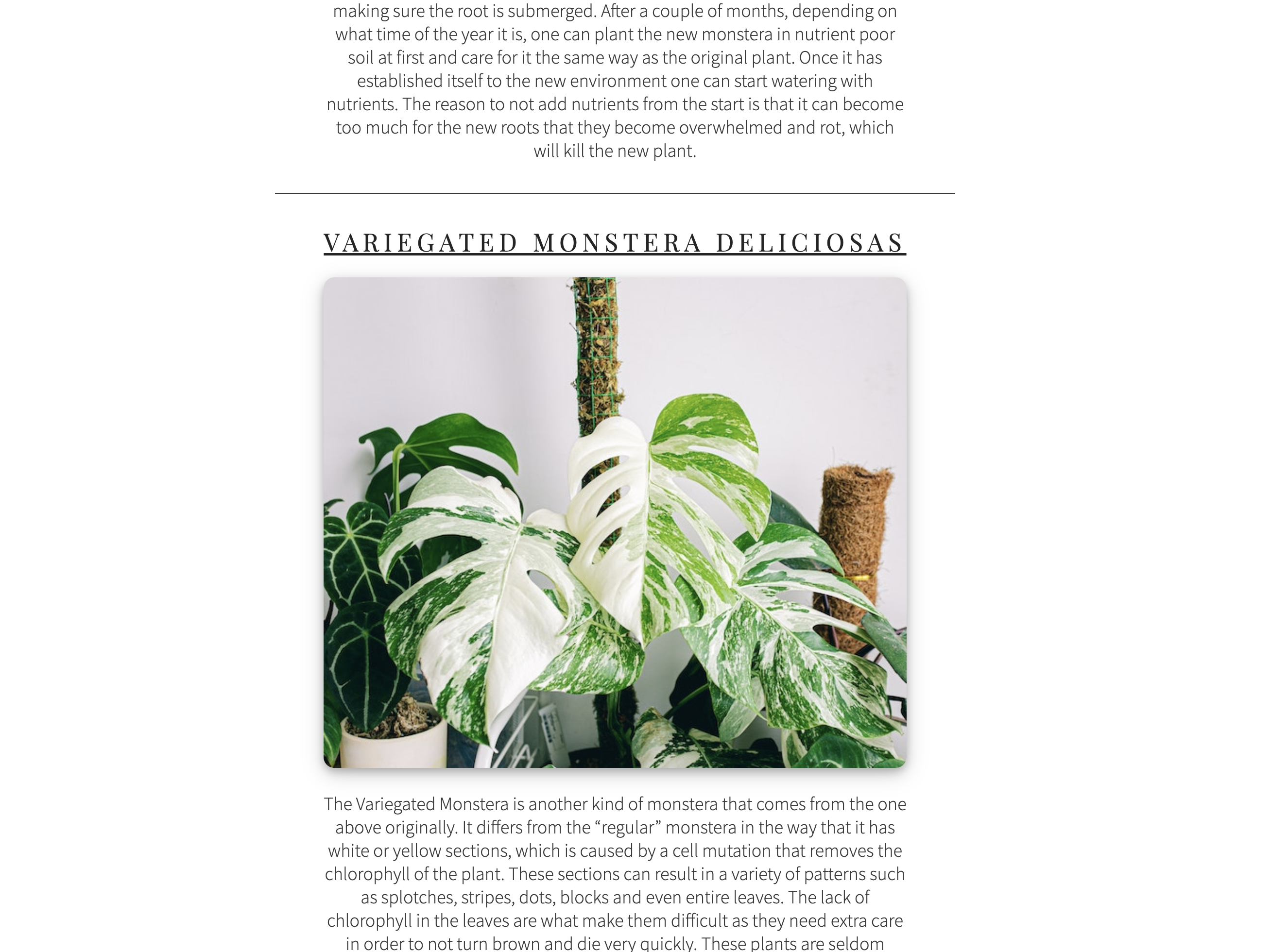 PlantCare